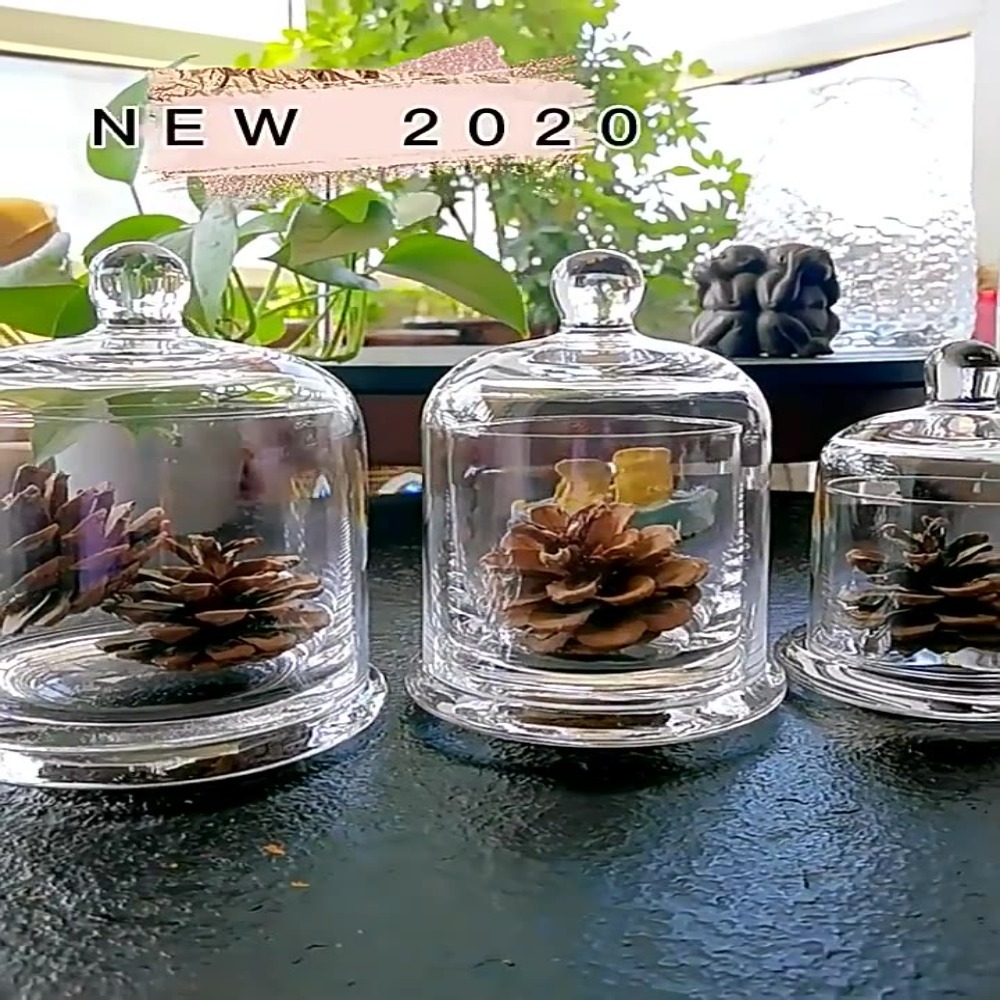Food Storage Of Plants - Glass Glass Storage Jar Eternal Life