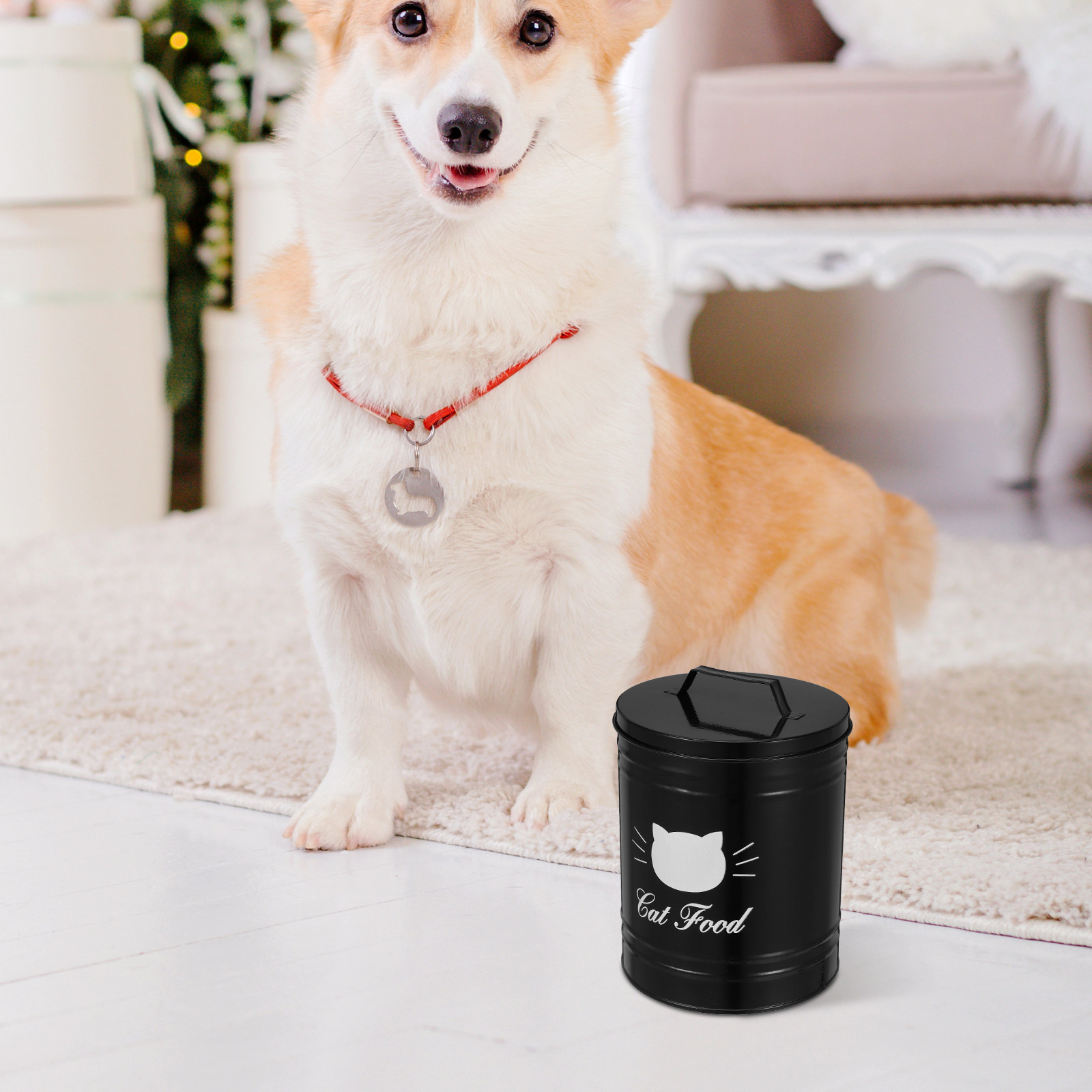 Airtight Pet Food Storage Cont - Food Storage Pet review and price