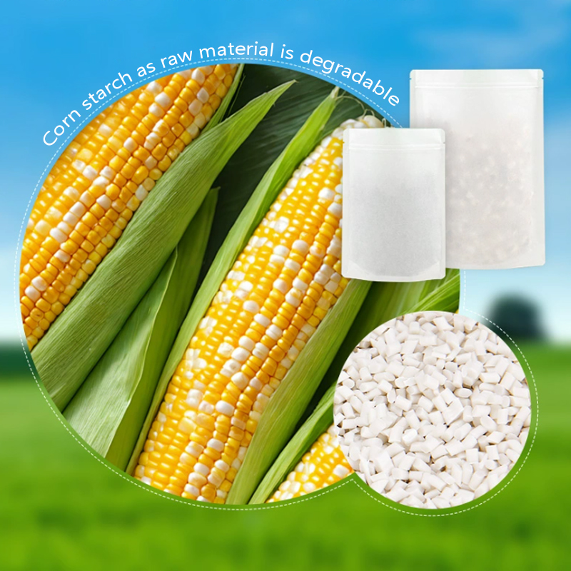 Customized Degradable Kraft Pa - Food Storage Of Plants review and price